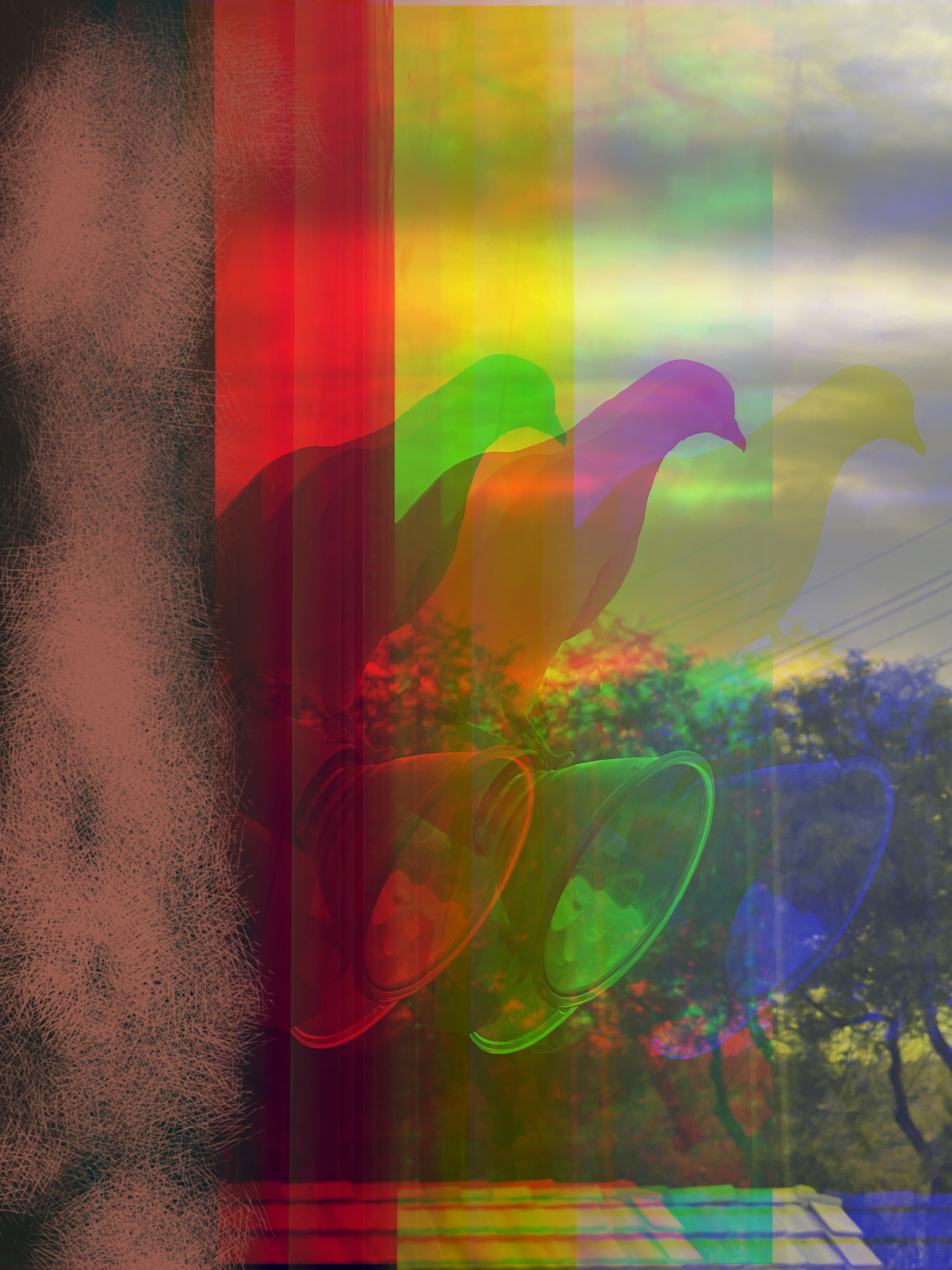 Prism Pigeons